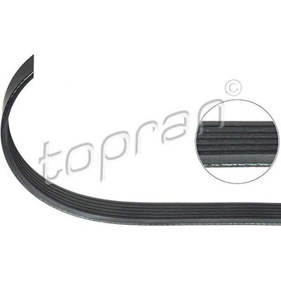 Topran Serpentine Belt - 995mm, 6 Ribs, EPDM - Automotive Accessory Topran Serpentine Belt - 995mm, 6 Ribs, EPDM - Automotive Accessory
