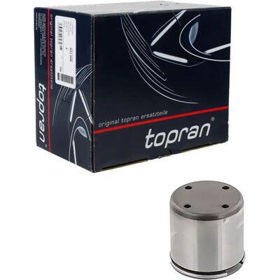 Topran Peça de Bomba de Motor - Cabeçote de Cilindro, 21mm, Compatível com Audi, Seat, Skoda, VW Topran Peça de Bomba de Motor - Cabeçote de Cilindro, 21mm, Compatível com Audi, Seat, Skoda, VW