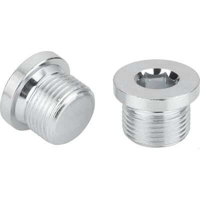 HANS PRIES M16 Vis de fermeture - Avec joint HANS PRIES M16 Vis de fermeture - Avec joint