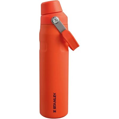 Stanley Aerolight 0,6L Edelstahl Trinkflasche - Tigerlily Pflaume Stanley Aerolight 0,6L Edelstahl Trinkflasche - Tigerlily Pflaume