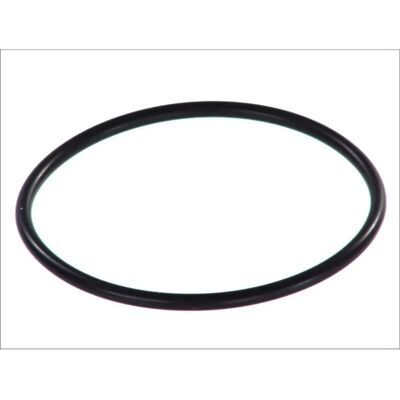 Audi Wasserpumpe Dichtung - 101521 Audi Wasserpumpe Dichtung - 101521