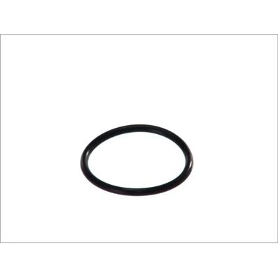 Guarnizione termostato Hans Pries - O-Ring 55mm per VW Audi Seat Skoda Guarnizione termostato Hans Pries - O-Ring 55mm per VW Audi Seat Skoda