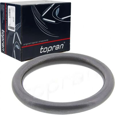 Topran Audi A6 Einspritzventil Dichtung - Injection Valve Seal Topran Audi A6 Einspritzventil Dichtung - Injection Valve Seal