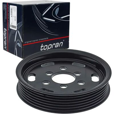 Topran - 038145255a - Noir - Ø119mm - Poulie Topran - 038145255a - Noir - Ø119mm - Poulie