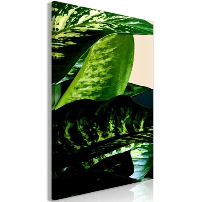 DÉCOSHOP26 - Dieffenbachia 20x30cm - Impresión en lienzo DÉCOSHOP26 - Dieffenbachia 20x30cm - Impresión en lienzo