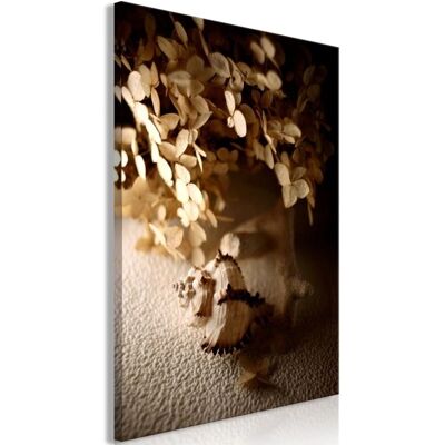 DÉCOSHOP26 - Conchas 20x30 - Marco de madera - Canvas print DÉCOSHOP26 - Conchas 20x30 - Marco de madera - Canvas print