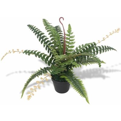 DECOSHOP26 - DEC021918 - 50 cm - Helecho - Planta DECOSHOP26 - DEC021918 - 50 cm - Helecho - Planta