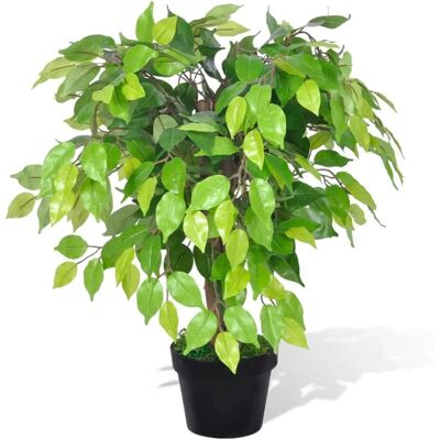 DECOSHOP26 - DEC021890 - Verde - 60 cm - Artificial palm DECOSHOP26 - DEC021890 - Verde - 60 cm - Artificial palm