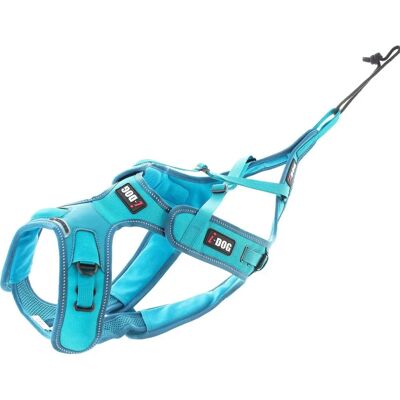 Harnais pour chien I-Dog X-Back Phoenix ALM - Bleu XXS - Publicité Harnais pour chien I-Dog X-Back Phoenix ALM - Bleu XXS - Publicité