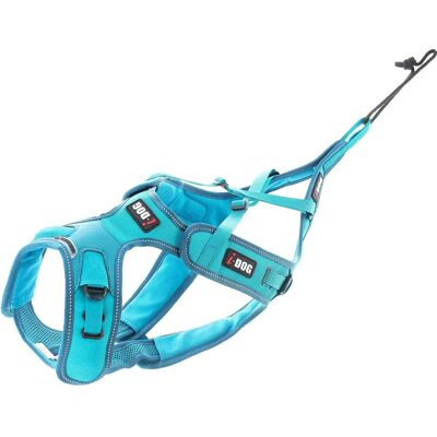 I-Dog Phoenix ALM - Harnais léger bleu pour chiens - Harnais pour chiens - Publicité I-Dog Phoenix ALM - Harnais léger bleu pour chiens - Harnais pour chiens - Publicité