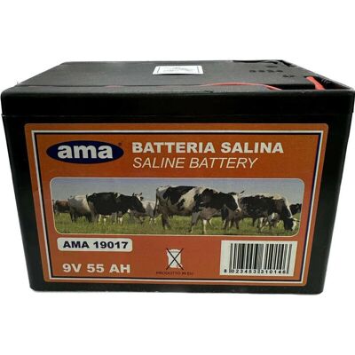 LEM SELECT Batterie sèche zinc-carbone 55 Ah - Clôture électrique - Publicité LEM SELECT Batterie sèche zinc-carbone 55 Ah - Clôture électrique - Publicité