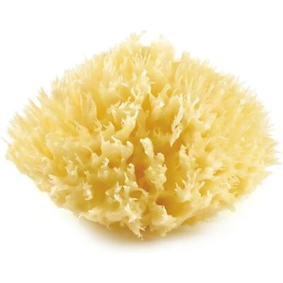 Salvietta Thermobaby - Giallo - Spugna di mare naturale - 1 pz Salvietta Thermobaby - Giallo - Spugna di mare naturale - 1 pz