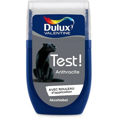 Testeur de Peinture Dulux Valentine - Anthracite Satiné - 30ml - Publicité Testeur de Peinture Dulux Valentine - Anthracite Satiné - 30ml - Publicité