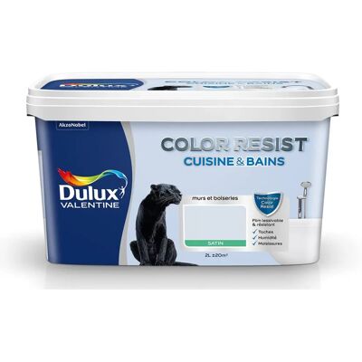 Peinture Dulux Valentine Satin Cuisine Salle de Bain - Peinture - Publicité Peinture Dulux Valentine Satin Cuisine Salle de Bain - Peinture - Publicité