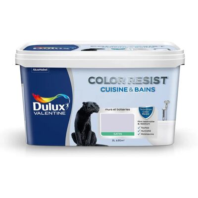 Dulux Valentine - COLOR RESIST - Ciel - 2 L - Paint - Publicité Dulux Valentine - COLOR RESIST - Ciel - 2 L - Paint - Publicité