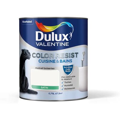 Dulux Valentine - Färg Resist - Blanc - Paint - Publicité Dulux Valentine - Färg Resist - Blanc - Paint - Publicité