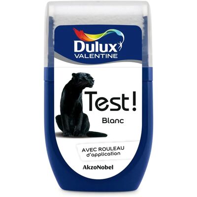 Échantillon de peinture satinée Dulux Valentine blanc - Testeur paint - Publicité Échantillon de peinture satinée Dulux Valentine blanc - Testeur paint - Publicité