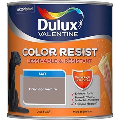 Dulux Valentine Color Resist - Murs & Boiseries - Brun Cachemire Mat - 0,5L - Peinture - Publicité Dulux Valentine Color Resist - Murs & Boiseries - Brun Cachemire Mat - 0,5L - Peinture - Publicité
