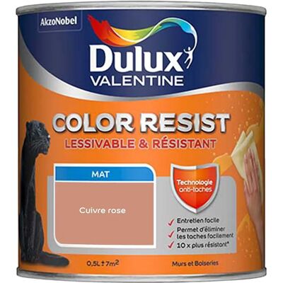 Peinture Mate Rose Cuivre Dulux Valentine - Murs & Boiseries - 0,5L - Publicité Peinture Mate Rose Cuivre Dulux Valentine - Murs & Boiseries - 0,5L - Publicité