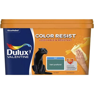 Peinture Mat Vert Foncé Dulux Valentine - Murs & Boiseries - 2,5L - Publicité Peinture Mat Vert Foncé Dulux Valentine - Murs & Boiseries - 2,5L - Publicité