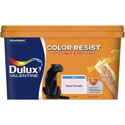 Dulux Valentine Rose Paradis 2,5L - Peinture - Publicité Dulux Valentine Rose Paradis 2,5L - Peinture - Publicité