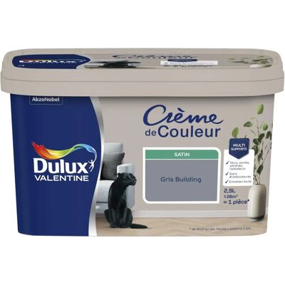 Peinture Satinée Grise Intérieure DULUX VALENTINE - Peinture - Publicité Peinture Satinée Grise Intérieure DULUX VALENTINE - Peinture - Publicité