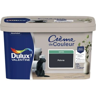 DULUX VALENTINE - Crème de Couleur - Gris poivre - Paint - Publicité DULUX VALENTINE - Crème de Couleur - Gris poivre - Paint - Publicité