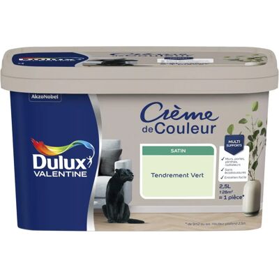 DULUX VALENTINE Vert Tendre Peinture Satinée Intérieure - Peinture - Publicité DULUX VALENTINE Vert Tendre Peinture Satinée Intérieure - Peinture - Publicité