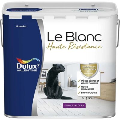Peinture Dulux Valentine Le Blanc Velours - Toutes Pièces - Haute Résistance - 5L - Publicité Peinture Dulux Valentine Le Blanc Velours - Toutes Pièces - Haute Résistance - 5L - Publicité