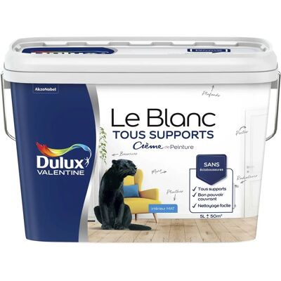 Dulux Valentine Le Blanc Peinture Mate - Tous Supports - Publicité Dulux Valentine Le Blanc Peinture Mate - Tous Supports - Publicité