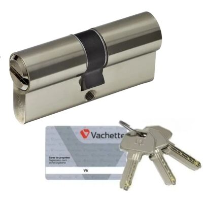 Vachette V6 Slotcilinder - Nikkel, 30x40 mm, 6 pennen Vachette V6 Slotcilinder - Nikkel, 30x40 mm, 6 pennen