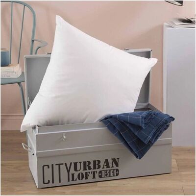Oreiller TOISON D'OR POLLUX - Percale coton ferme 65x65cm - Publicité Oreiller TOISON D'OR POLLUX - Percale coton ferme 65x65cm - Publicité