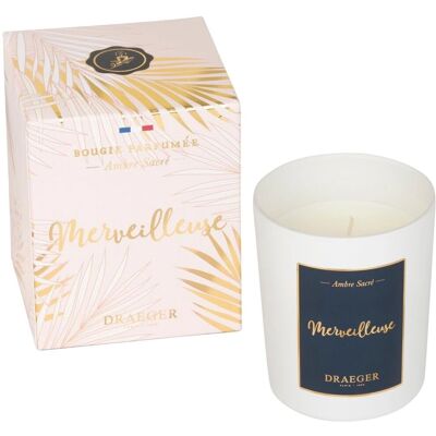 Draeger Candela Rosa - Decorazione Elegante - Tipo di Candela Draeger Candela Rosa - Decorazione Elegante - Tipo di Candela