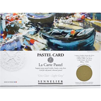 Cartão de Pastel Sennelier Cinza Claro - 6 Folhas Cartão de Pastel Sennelier Cinza Claro - 6 Folhas