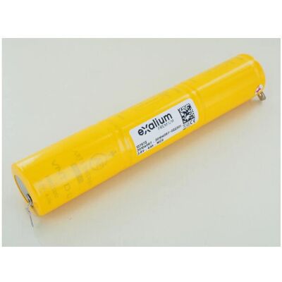 Batteria Saft 3,6V 4Ah - Blocchi di illuminazione di sicurezza autonomi Batteria Saft 3,6V 4Ah - Blocchi di illuminazione di sicurezza autonomi
