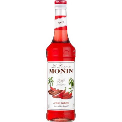 Monin Spicy Cinnamon Chili Syrup - Syrup Monin Spicy Cinnamon Chili Syrup - Syrup