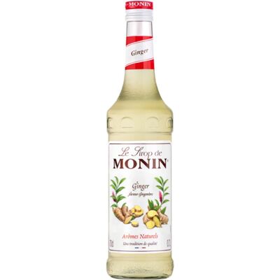 Monin Ingwer Sirup - Dessert Sirup mit Ingwer Geschmack Monin Ingwer Sirup - Dessert Sirup mit Ingwer Geschmack