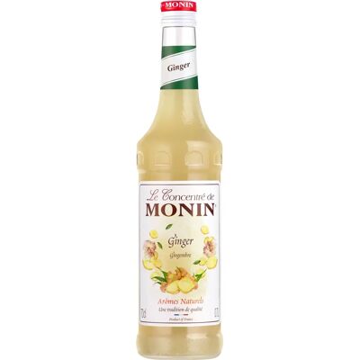 Monin 361172 Sirop Dessert Gingembre - Sirop - Publicité Monin 361172 Sirop Dessert Gingembre - Sirop - Publicité