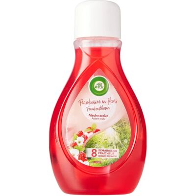 AIR WICK - Framboisier en fleurs 2in1 - 375 ml - Framboisier en fleurs - Reed diffuser - Publicité AIR WICK - Framboisier en fleurs 2in1 - 375 ml - Framboisier en fleurs - Reed diffuser - Publicité