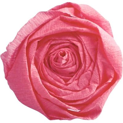 Clairefontaine 901060C Rosa Krepppapier - Schulmaterial Clairefontaine 901060C Rosa Krepppapier - Schulmaterial