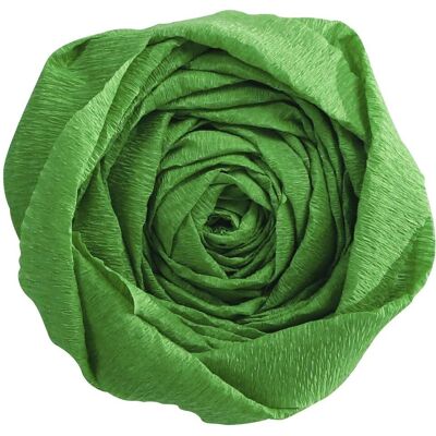 Clairefontaine Grünes Krepppapier - 10 Blatt, 2,5x0,5m - Bastelprodukt Clairefontaine Grünes Krepppapier - 10 Blatt, 2,5x0,5m - Bastelprodukt