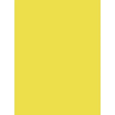 Papel de arte Clairefontaine 384515C - Colores brillantes, FSC, para manualidades Papel de arte Clairefontaine 384515C - Colores brillantes, FSC, para manualidades