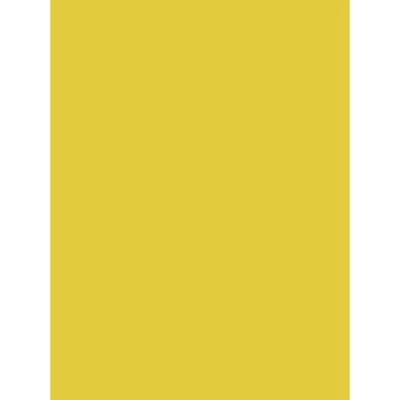 Clairefontaine 384516C art paper - Display - 75g - 60x80 cm - Art paper Clairefontaine 384516C art paper - Display - 75g - 60x80 cm - Art paper