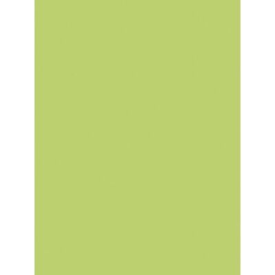 Clairefontaine 384519C konstnärspapper - Grön - 90g/m2 - 60x80cm - Professionell Clairefontaine 384519C konstnärspapper - Grön - 90g/m2 - 60x80cm - Professionell