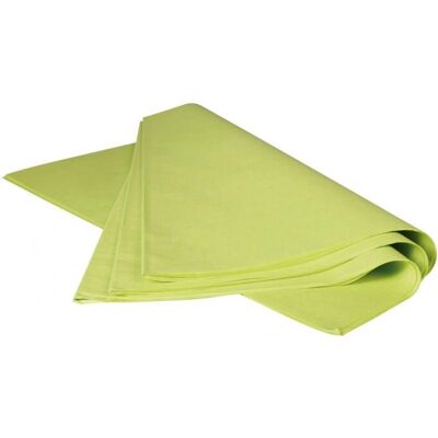 Clairefontaine Modell 393619C Zöld selyempapír - Művészeti papír Clairefontaine Modell 393619C Zöld selyempapír - Művészeti papír