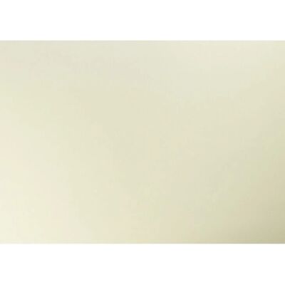 Papel de arte Clairefontaine 456402C - 25 hojas, marfil, reciclado, 50x70cm Papel de arte Clairefontaine 456402C - 25 hojas, marfil, reciclado, 50x70cm