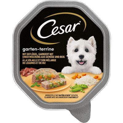 CESAR - Variedad Jardín con Pollo y Arroz - Pollo - Arroz - Wet Food CESAR - Variedad Jardín con Pollo y Arroz - Pollo - Arroz - Wet Food