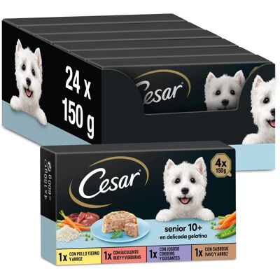 Cesar Senior Comida Úmida para Cães em Gelatina 24x150g Cesar Senior Comida Úmida para Cães em Gelatina 24x150g