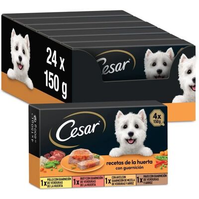 Mars Cesar Naturlig Våtfoder för Hundar - Kyckling, Ägg, Fågel & And - 150g Mars Cesar Naturlig Våtfoder för Hundar - Kyckling, Ägg, Fågel & And - 150g