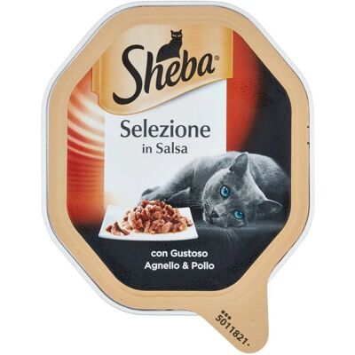 Sheba - Modello - Varietà Sheba - Modello - Varietà